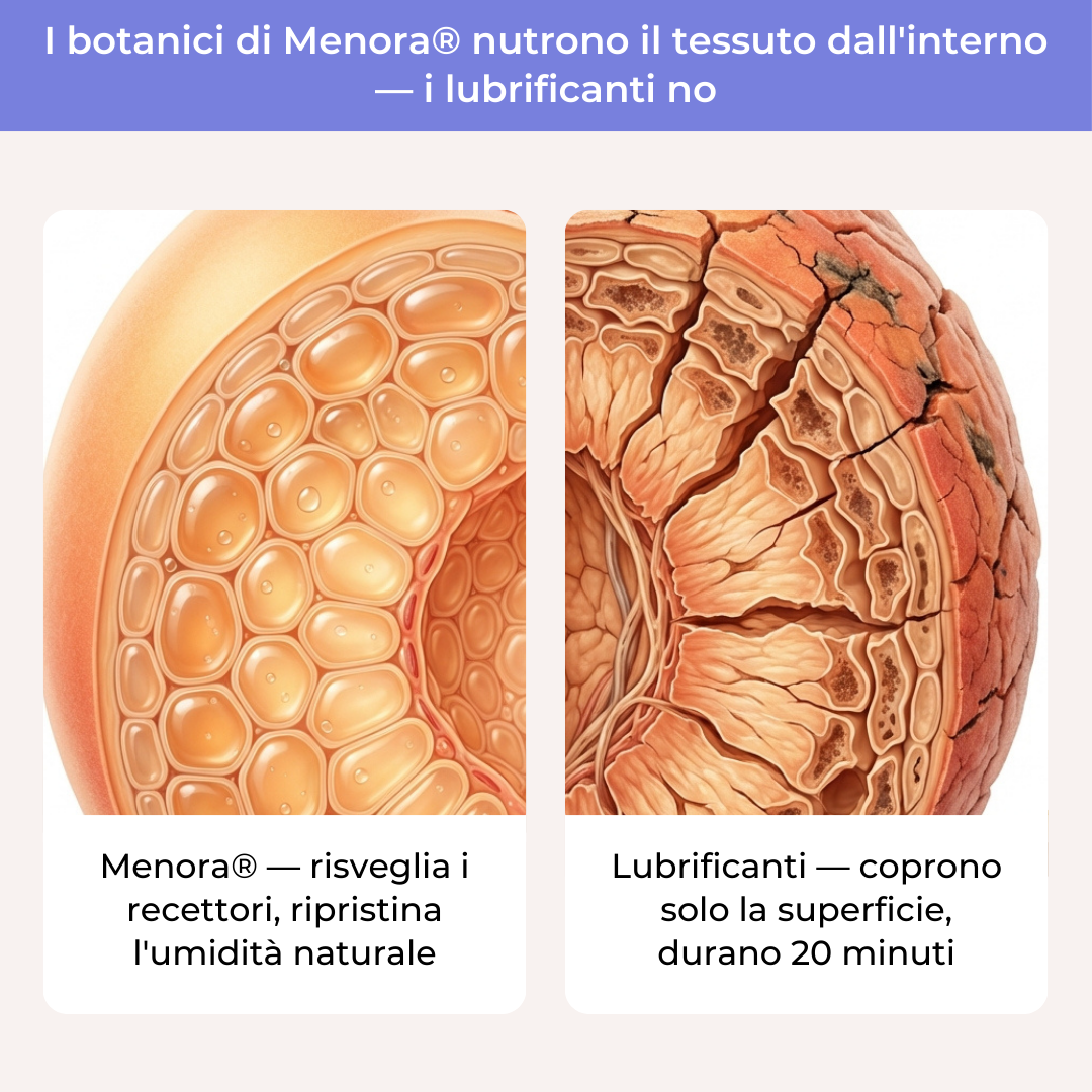 Vitamine per la Menopausa Menora®